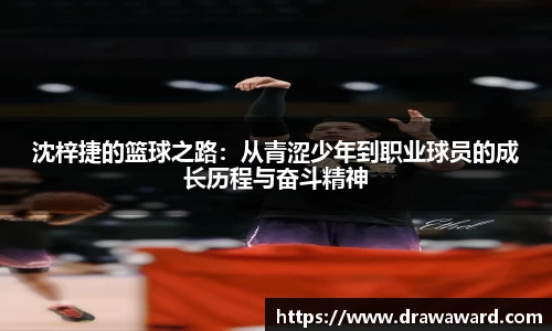 zbo1919